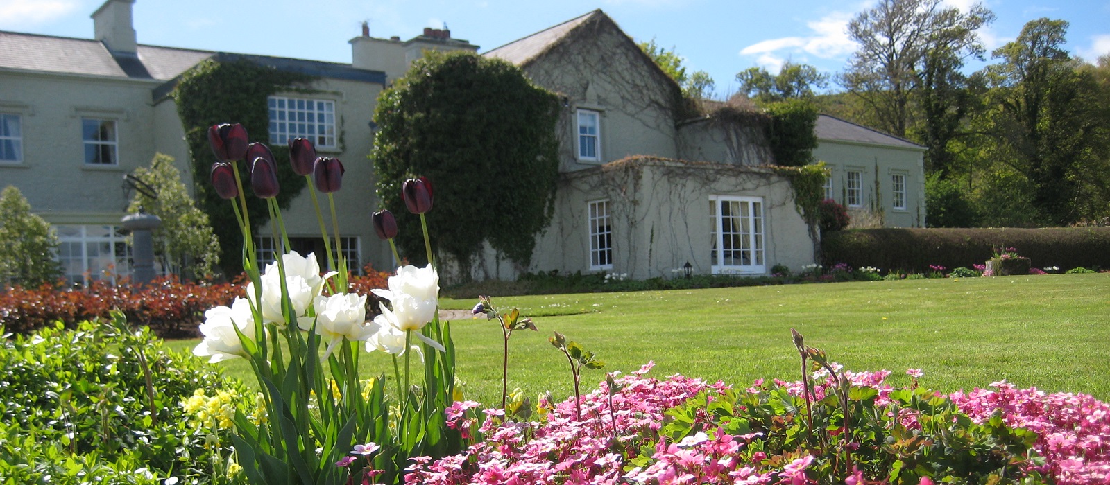 Gregans Castle with Flowers